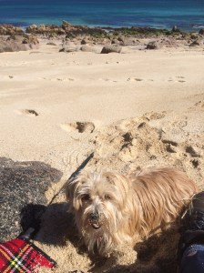 134326EA-13E5-4CFD-BCF4-CD67A5AC6725